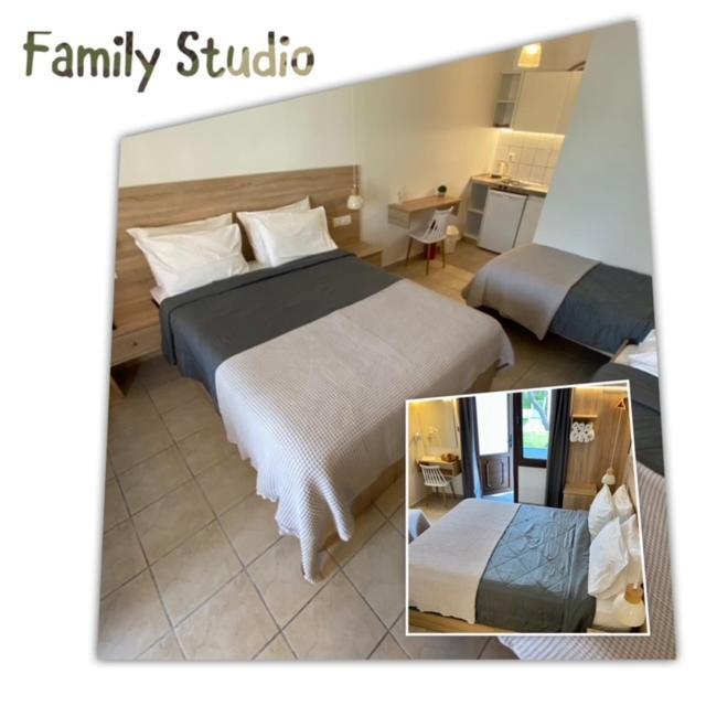 Villa Dafni Studios Тасос Экстерьер фото