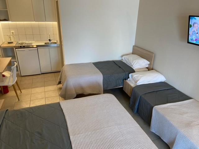 Villa Dafni Studios Тасос Экстерьер фото